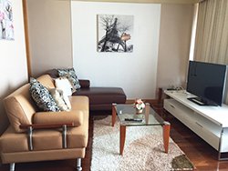 Spacious <strong>apartment 3 mins walk to Chidlom (Chit Lom)</strong> BTS